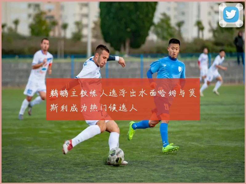 鹈鹕主教练人选浮出水面哈姆与莫斯利成为热门候选人
