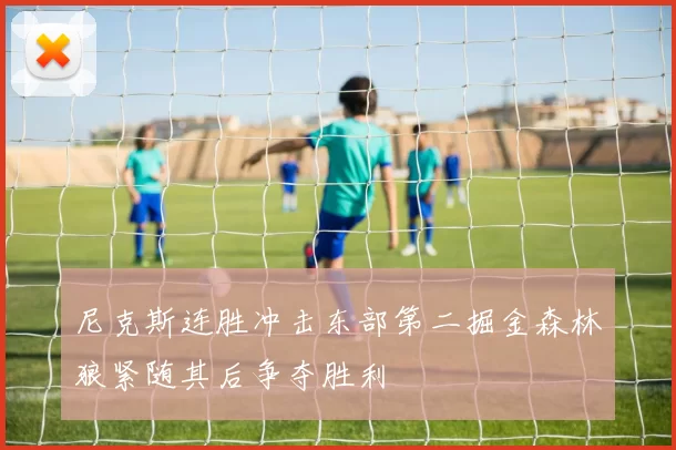 尼克斯连胜冲击东部第二掘金森林狼紧随其后争夺胜利